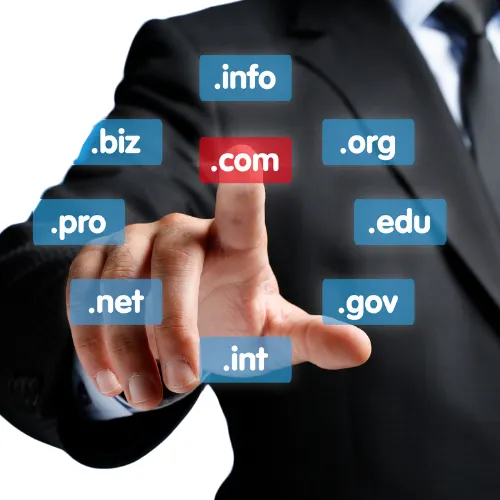 zarządzanie domeną internetową